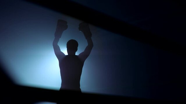 Dramatic shot of sportsman boxer standing on the ring in front of the stage light lifting arms in boxing gloves up in the air triumphantly, victorious view from behind. Championship, victory concept