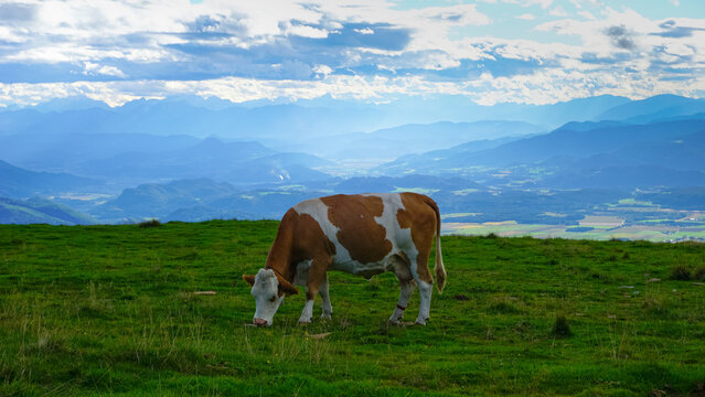 Austrian Mountains with a beautiful view and a excellent experience of nature 