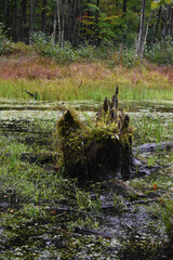 La Plaine 18 Septembre 2022