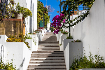 Stairs to the top surrounded by white walls and colorful plants and flowers.