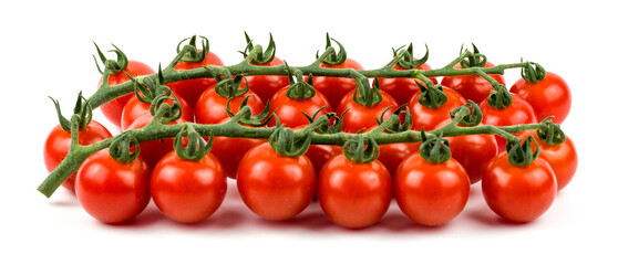 tomatoes on a white background!