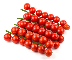 tomatoes on a white background