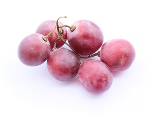 red grape fruit branch