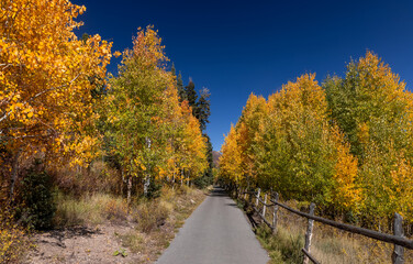 Scenic walking trail in Payson lakes recreation area in Utah.