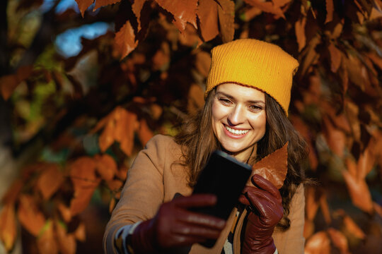 happy elegant female in brown coat and hat taking selfie