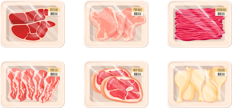 Raw meat packaging. Packaged ground beef, frozen pork fillet or chicken wrapped vacuum plastic trays counter supermarket, cut beefraw steak fresh mince product vector illustration