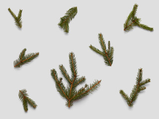 Set of spruce, fir, Christmas tree, beautiful green branches isolated elements. Close up variation. For vintage Christmas decor and holiday, festive, winter, retro designs. 