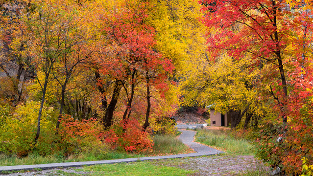 Scenic walking trail near North American fork canyon in Utah.