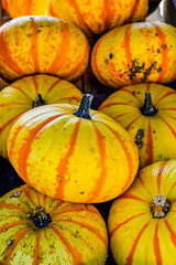 Kürbis, Blaze, cucurbita pepo, Minikürbis, Gartenkürbis, Dekoration, Zierkürbis, Kürbisernte, Herbstfest, Herbstmarkt, Herbst, Baselland, Schweiz