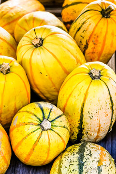 Stripetti, Spaghettik&uuml;rbis, K&uuml;rbis, Cucurbita Pepo, Speisek&uuml;rbis, K&uuml;rbisernte, K&uuml;rbisrezepte, Herbstmarkt, Herbstfest, Herbstdekoration, Herbst, Baselland, Schweiz 