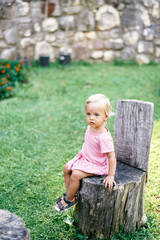 Little girl sits on a stump with a back in the garden. High quality photo