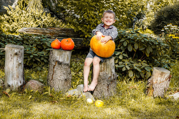 Chłopiec i dynia, wesoła zabawa jesienią w ogrodzie z dyniami dekoracyjnymi - jesienne wygłupy z dynią