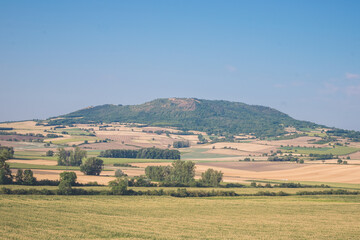 Fototapeta premium landscape in the summer