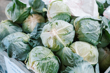 A large bin and pile of cabbage heads at an open farmers market for sale, no people pictured