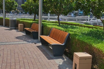 Recreation area with empty contemporary wooden benches along curved green plant fence.Urban modern public vandal-proof furniture.Public city resting area design.