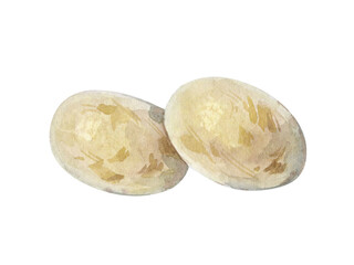 Watercolor illustration of grapes isolated on white background.