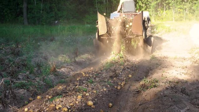 Potato digger in action on field, potatoes and dirt falling in slow motion