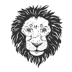 Black lion's head. PNG illustration.