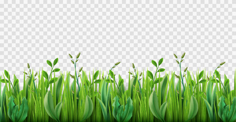 Realistic grass border. Lush strip of green lawn grass, 3d herbs isolated on transparent background, park nature plants growing, environmental pasture, horizontal meadow, utter vector concept - obrazy, fototapety, plakaty