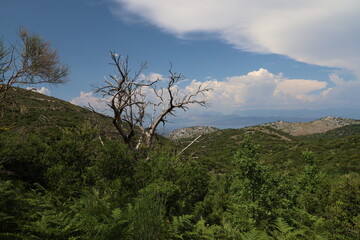 Corfu 001