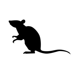 Black rat silhouette. PNG illustration.