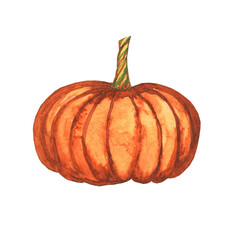 Bright brown orange pumpkin