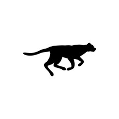 Running cat. Black color. PNG.