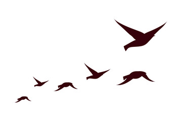 Fototapeta six birds flying silhouettes obraz