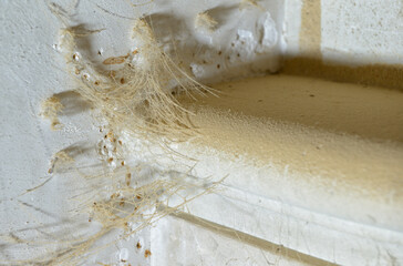 Details of dusty spiderwebs inside old house