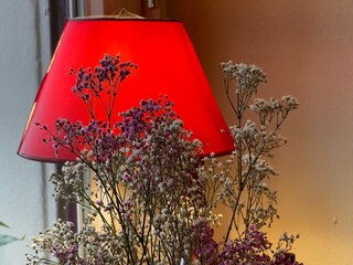 Pflanze vor der roten Lampe am Fenster