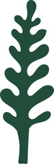 Plant green leaf. Botanical design element. 