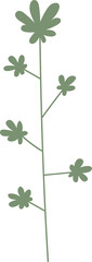 Green plant leaf. Minimalist botanical design element. 