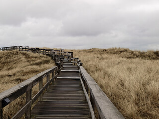 path at the dunes - sylt - northsea - westerland