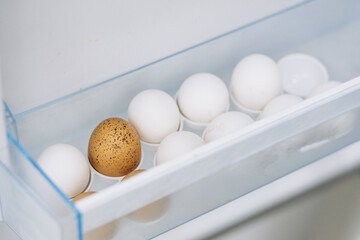 World Egg Day and raw brown and white chicken eggs in a container in the refrigerator tray. The concept of natural healthy food and organic food. world egg day.