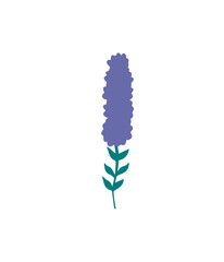 Floral design element. Botanical detail in a simple minimalist style. 