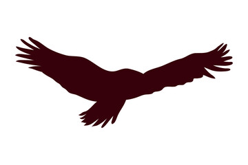 eagle bird flying silhouette