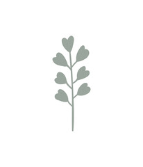 Floral design element. Botanical detail in a simple minimalist style. Green leaf. 