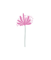 Floral design element. Botanical detail in a simple minimalist style.  © pictures_for_you