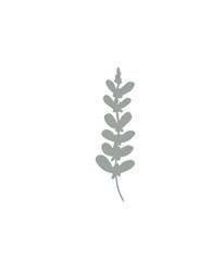 Floral design element. Botanical detail in a simple minimalist style. Green leaf. 