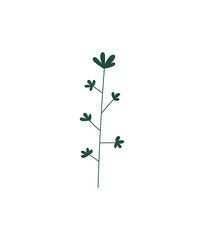 Floral design element. Botanical detail in a simple minimalist style. Green leaf. 