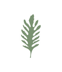 Floral design element. Botanical detail in a simple minimalist style. Green leaf. 