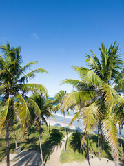 Fototapeta na wymiar Praia do Francês - Alagoas