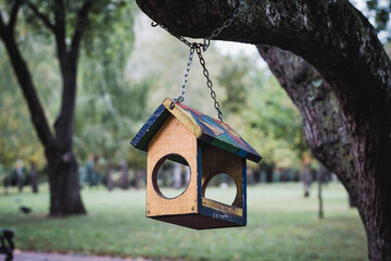 Bird feeder made of wood in a city park, painted in bright colors
