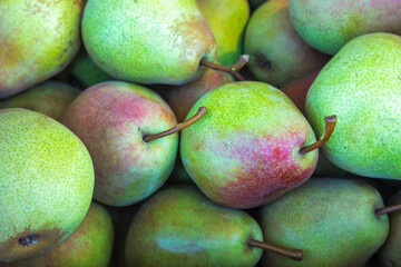 green red pears close-up. ripe pears on the counter