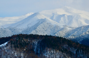 A new snowy white world