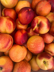 Close-up of Organic Nectarines at Outdoor Farmer's Market. Fresh nektarine on the market. Full frame of a crate of yellow nectarines.