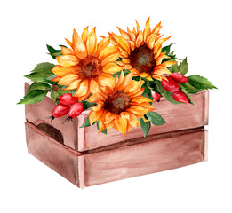 Watercolor bouquet of sunflowers in a wooden box. Summer garden decor isolated on white