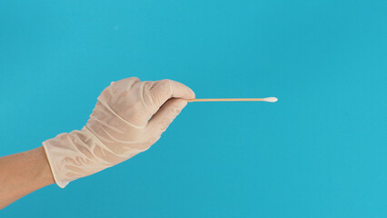 Cotton stick for swab test in hand with white latex gloves on blue background.