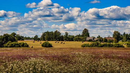 Field in the countryside.