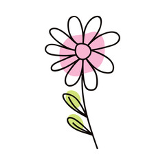 flower pink color one line